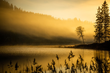 Foggy autumnal surise at Jonsvatnet, Norway © Adrian