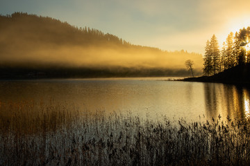 Foggy autumnal surise at Jonsvatnet, Norway