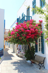 A typical narrow alley in the town of Kos, Greece