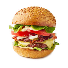 Big juicy hamburger isolated on white background