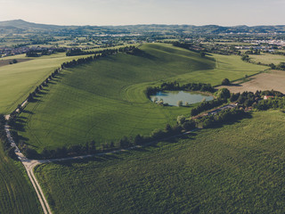 Verdi colline coltivate a grano nei pressi di Pesaro nella regione Marche in Italia 