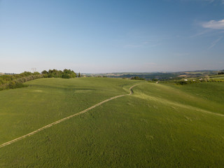 Fototapeta na wymiar Verdi colline coltivate a grano nei pressi di Pesaro nella regione Marche in Italia 