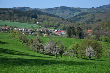 Fototapeta na wymiar The small town Oberflockenbach in spring in the Odenwald, Germany.