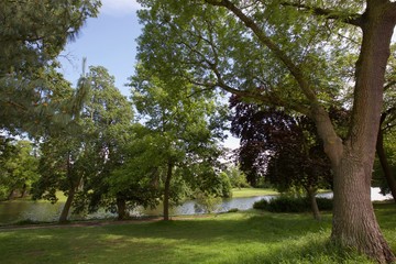 Bois et nature parisienne