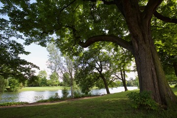 Bois et nature parisienne