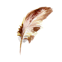 Brown Bird Feather from Wing. Watercolor Illustration on White. Watercolour Drawing Fashion Aquarelle. Isolated Feathers Illustration Element © Dvarg