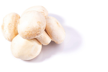 Fototapeta na wymiar Mushrooms champignons lie on a white isolated background