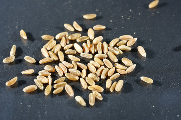 spice mix in best studio quality photographed partly isolated against black background with macro lens taken