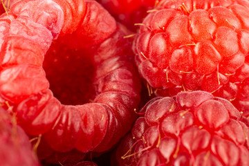 Closeup of lot of whole fresh red raspberry isolated