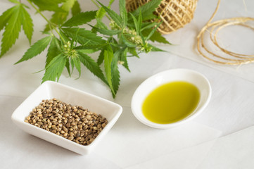 Hemp products concept. Cannabis seed oil, skein and green plant