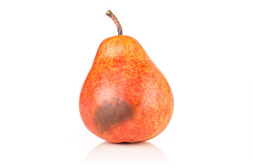 One whole fresh red pear with a spot isolated on white background