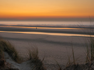 Individual people walking at an endless beach during dramatic sunset seen from marram grass covered dunes