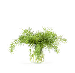 Fresh green dill isolated