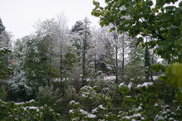Schneefall im Mai. Natur wurde mit Neuschnee am Morgen geweckt. 05.05.2019