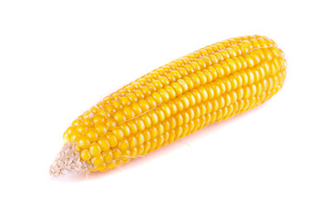 Yellow corncob isolated on the white background