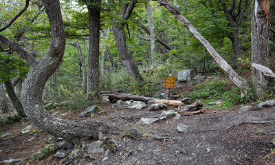 Milestone of the end of the world