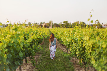 Redhead girl walking among vines (from the back)