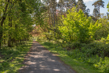 Fairy Glen Footpaths at Fullerton Park Near Troon in Scotland.