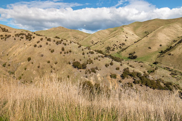 Obraz premium Wither Hills above Blenheim town in Marlborough region of New Zealand