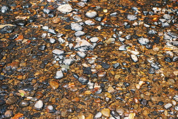 Stones at the river bed in Mount Kenya, Kenya