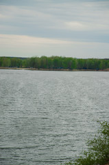 Pine forest by the lake. Lake in the sand pit. Artificial lake, reservoir. Artificial island. Pines, eaten on the edge of the lake.
