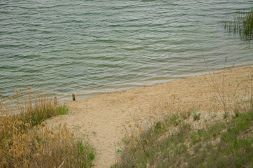 Pine forest by the lake. Lake in the sand pit. Artificial lake, reservoir. Artificial island. Pines, eaten on the edge of the lake.