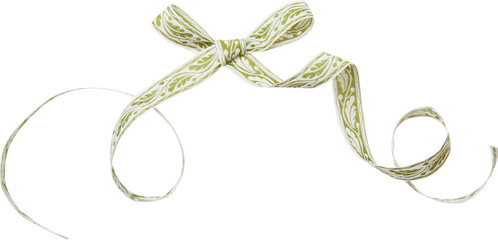 ribbon curl with green pattern isolated on white background. Green ribbon bow and curl isolated on white background