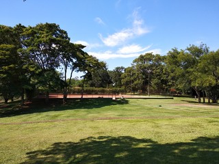 Naklejka premium Tennis court surrounded by beautiful farm trees in full summer day with scorching sun