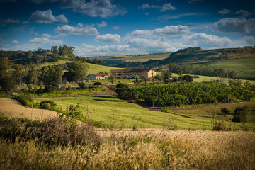 Beautiful landscape of a rural area with plantations