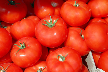 tomatoes on the vine. Red tomatoes for food texture