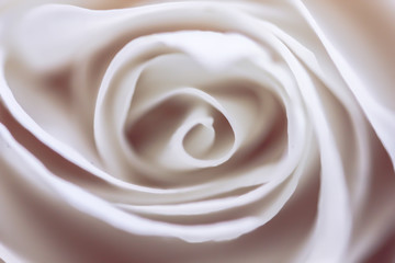 Silky rose