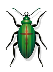 Beetle with cross, symbolic for extinction of species and for for decline in insect populations. Isolated vector illustration on white background.