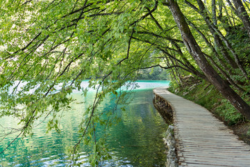 path to the Plitvice Lakes