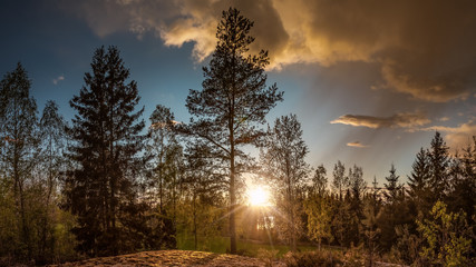 Panorama einer Waldlandschaft bei wunderschönen Sonnenuntergang
