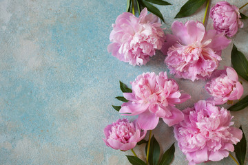 Fototapeta na wymiar Pink peonies on the background of colored decorative plaster