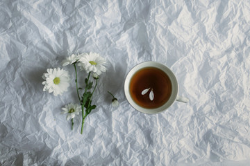 chrysanthemum bacardi and a cup of tea