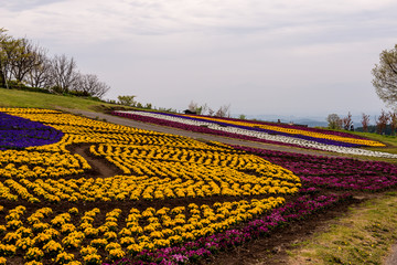 久住高原の彩り