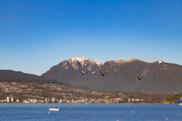 Obraz premium Shore City and mountain