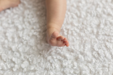 feet of a newborn baby. baby legs on beige background. little foot