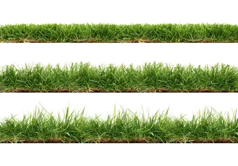 Door stickers Grass A collection of real grass borders, short, medium and long grass edges isolated on a white background.