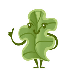 Lettuce salad. Smiling food mascot. Cartoon character design. Flat vector illustration isolated on white background