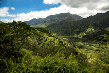 Fototapeta premium Kauai Mountain pass