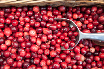 Organic Cranberries