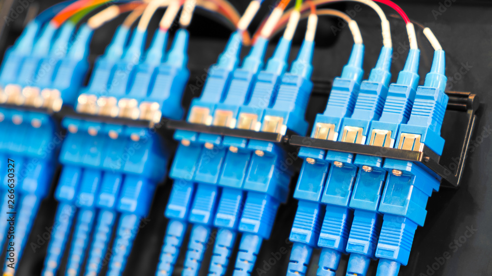 Aufkleber closeup of colored computer network cables connected to a switch