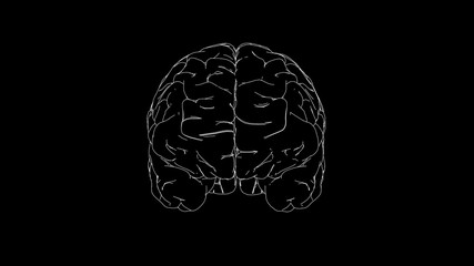 brain drawing
