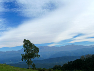 Cerros tucumanos