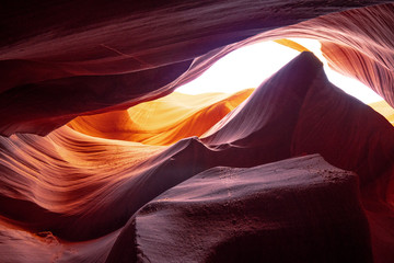 Obraz premium Lower Antelope Canyon in Arizona - most beautiful place in the desert - travel photography
