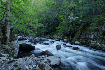 Middle Prong Spring