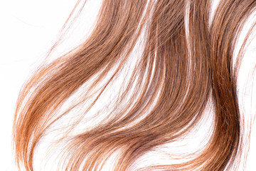 Fototapeta premium Light brown hair - White background