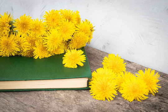 Small yellow dandelions lie on the old green paper on the background of old boards. There is a place for your text. Background.